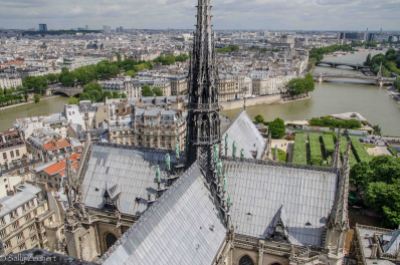 Views from atop Notre-Dame